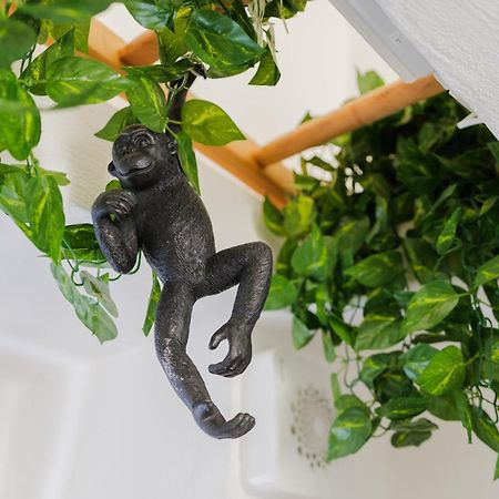 Dimora Lavinia Casa Vacanze Centro Storico Ostuni Ngoại thất bức ảnh